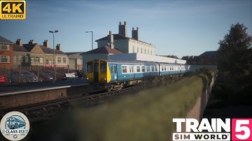 BR Blue Class 313 | Seaford to Brighton All Stops | TSW5
