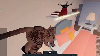 Calvin hacks on to DRAGONSRock's Roblox account? by DRAGONS Rock 51 views 5 months ago 8 minutes, 34 seconds