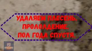 Удаляем плесень продолжение Пол года спустя