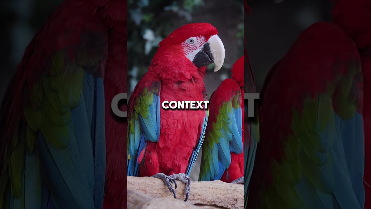 This Bird Will Outlive You The Amazing Longevity of the Parrot 