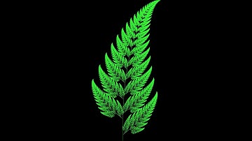 Barnsley Fern  fractal animation with python (with sourcecode)