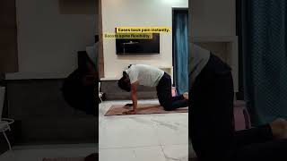Cat Pose Yoga For Instant Back Pain Relief Easy Daily Yoga Kavin Kadam Shorts