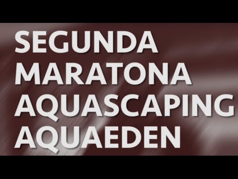 Segunda Maratona de Aquascaping AQUAEDEN