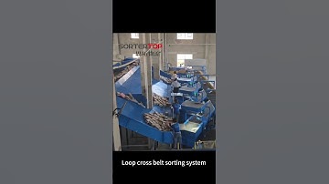 Loop cross belt sorting system