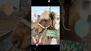 十兵衛、ハッピーバースデー