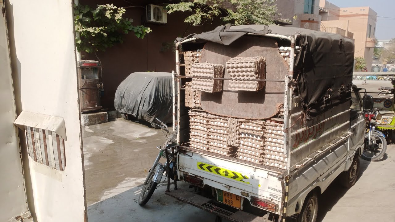 Eggs business|Andy ka krobar|Andy ka rate Lahore eggs rate today 