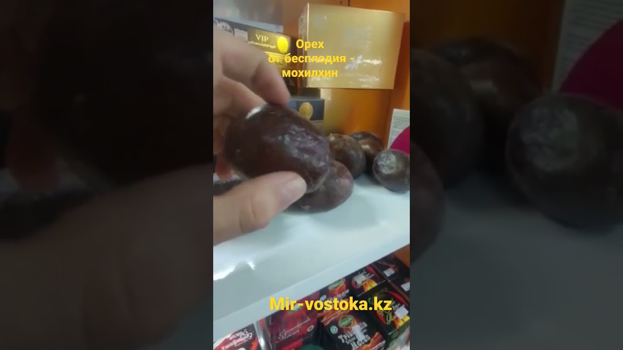 Орех от бесплодия Мохилхин! При мужском и женском бесплодии! В интернет-магазине Mir-vostoka.kz