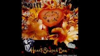 Nirvana - Heart-Shaped Box (cover by KB)