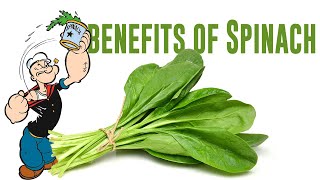 The Incredible Benefits of Spinach: Unveiling the Power of Leafy Greens
