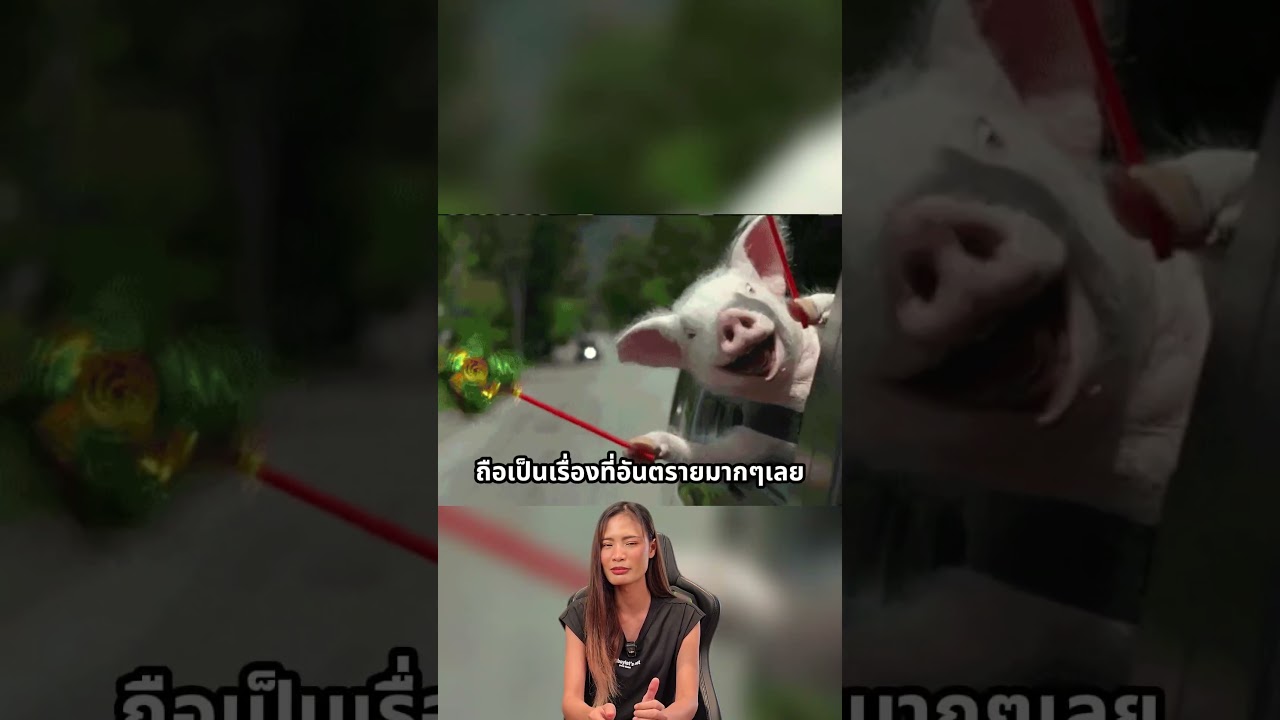 ทำน้ำมันหมดบนทางหลวงในเยอรมนี ถือว่าผิดกฎหมาย