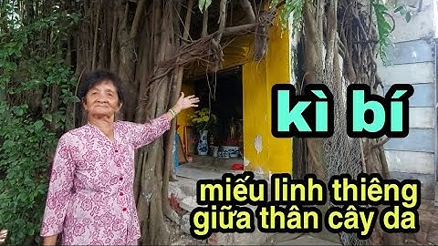 Độc lạ tâm linh Miếu cổ trên 100 năm linh thiêng được bảo vệ bởi cây da ôm trọn ngôi miếu