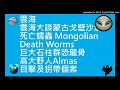 ??  | ??????????????? Mongolian Death Worms | ????? | ??? | ????Almas ????????