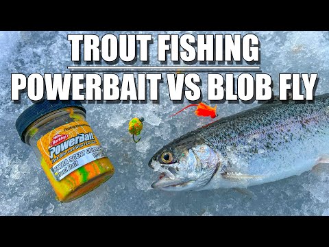 BEST BAITS for TROUT fishing & How to rig them for Success