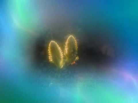 Secret Feelings - ERNESTO CORTAZAR - YouTube
