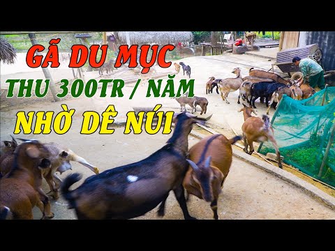 Video: Tôi có thể nhanh chóng nhận được khoản vay bằng thẻ và tiền mặt ở đâu?