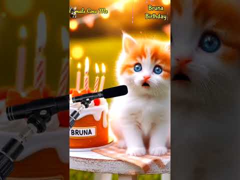 HAPPY BIRTHDAY BRUNA | HAPPY BIRTHDAY SONG WITH NAMES | Adorable Cute Cat 😺 #cat #cute