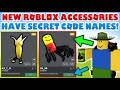These NEW Roblox accessories have code names? Will they be FREE?