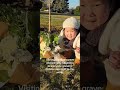Adorable baby Yoona brings joy even to grandpa’s grave #cute #귀여운아기 #koreanbaby #쇼츠