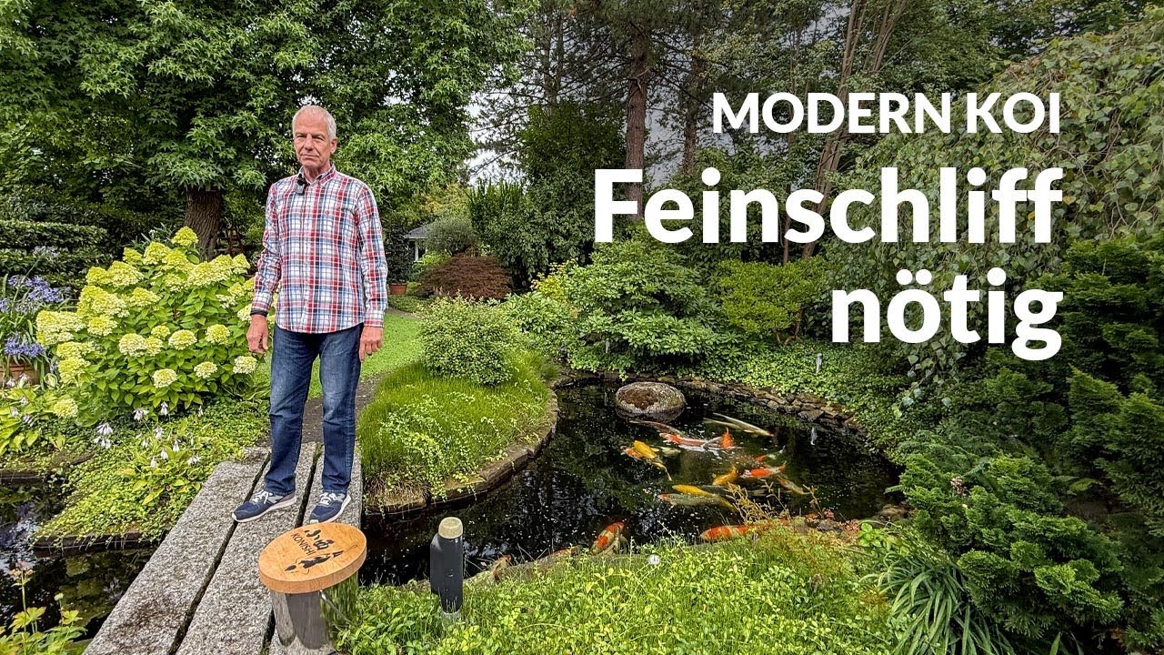 Eine Wasseranalyse an Berts 17.000l Koiteich | Modern Koi Blog #8030