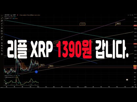   알트코인가이드 기다렸던 리플 XRP 드디어 1390원 갑니다 빅롱대기중 비트코인가이드차트분석 BingX 빙엑스 알트코인 리플 이더리움 업비트 빗썸 바이비트 Bybit