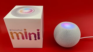 Apple Homepod Mini 1 Year Later Review! Amazing With A Small Caveat!
