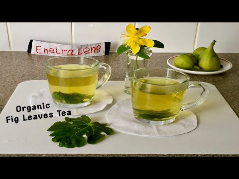 How to make Fresh Fig Leaves Tea