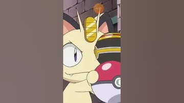Pikachu almost caught meowth in a luxury ball #pikachu #meowth #luxuryball #pokemon