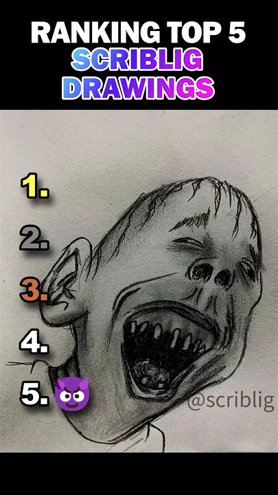 Ranking Top 5 Scriblig Drawings!