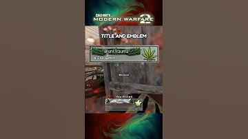 174,636 permutations of titles and emblems in MW2 2009 and yet...