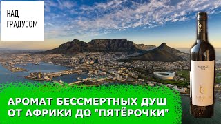 видео: Вино обзор #23 - Пинотаж  картинка: Вино обзор #23 - Пинотаж