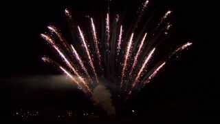 CGFP-55 2013
