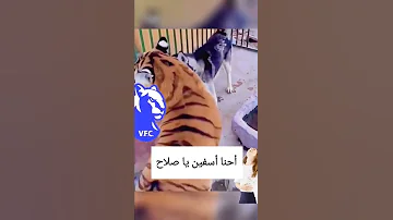 احنا أسفين يا صلاح Shorts 