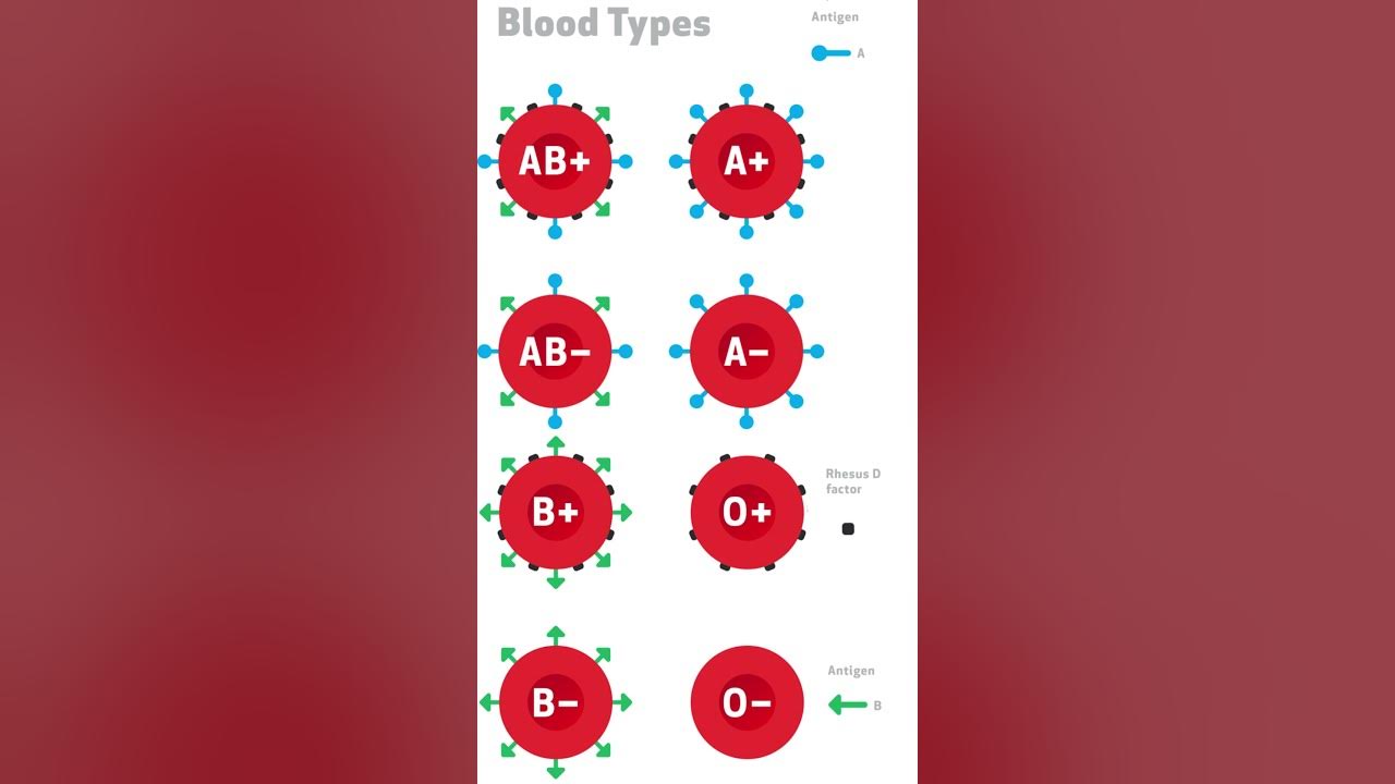 how-blood-types-work-youtube