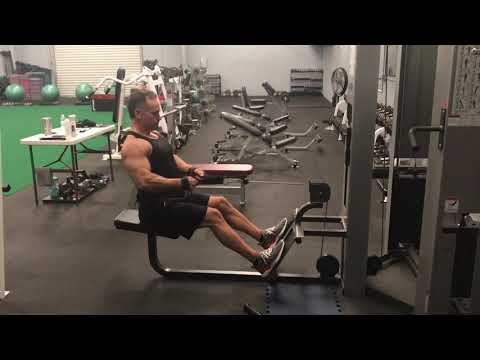 Cybex Cable Seated Row Strap