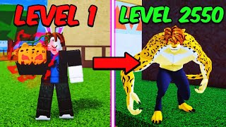 Noob To MAX LEVEL Leopard in Blox Fruits [FULL MOVIE] screenshot 3