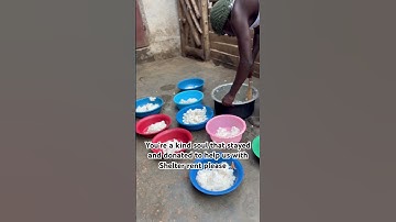 Kindly stay and donate PayPal link in bio please 🙏🏽 #shortsvideo #cat #adoptstrays #shortsviral