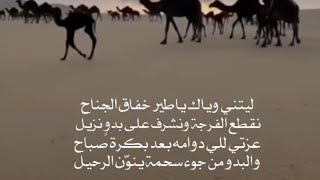 منكوس عزتي للي دوامه بعد بكره صباح اداء قهيدان الشاوي