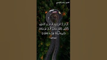 سورة النور من  آية 41 إلى آية 42 بصوت الشيخ ياسر الدوسري♥♥