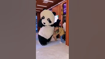 Panda Running funny Video | #shorts