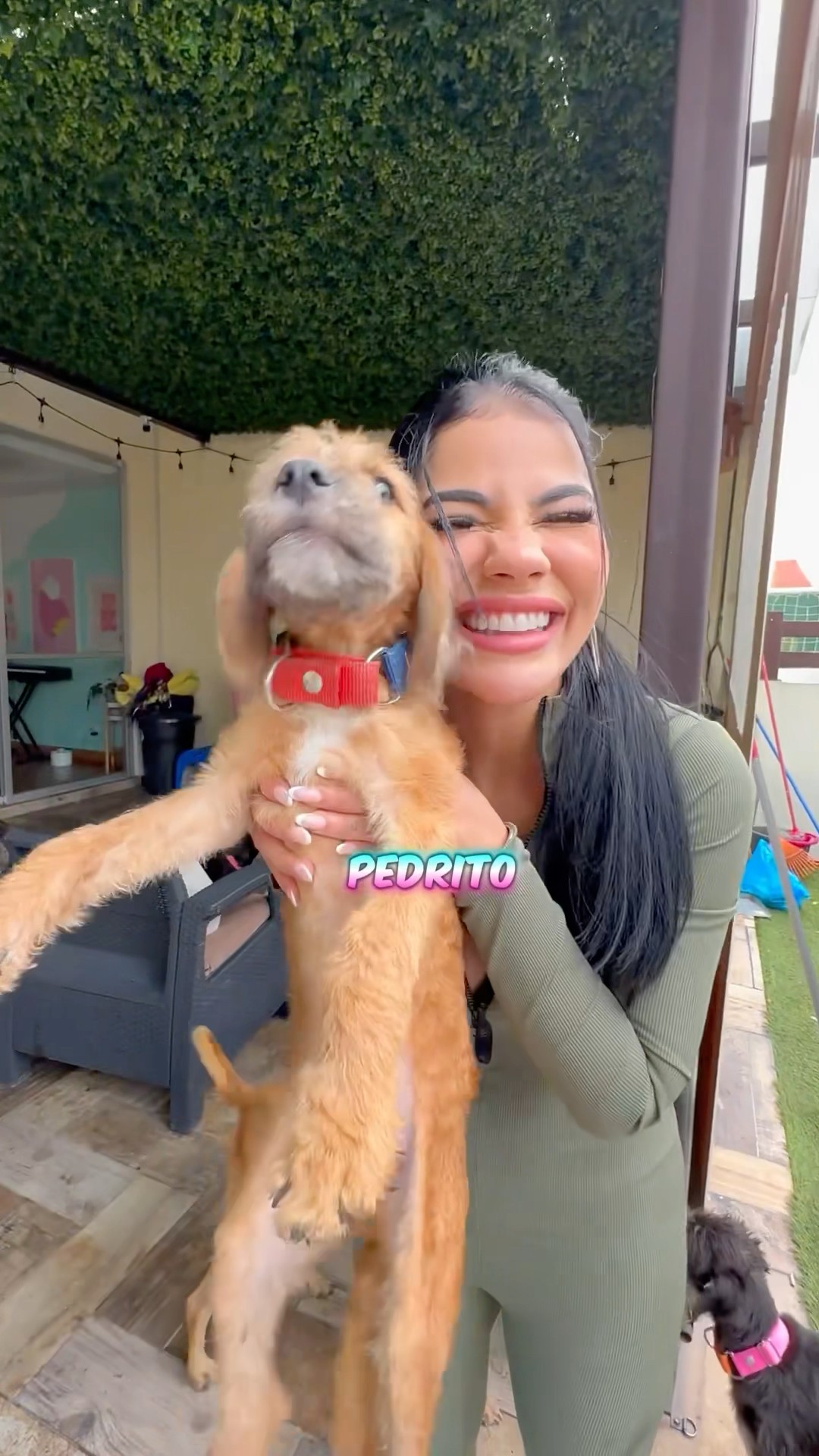 LE PONGO NOMBRE A TODOS MIS PERRITOS!