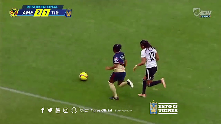 Resumen de la serie Semifinal, Tigres 4 - 2 América