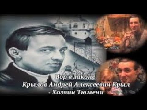 Thief In Law Andrei Krylov Kryl 