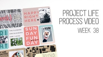 Week 38 Project Life Process