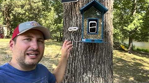 BF08 Solar Smart Bird Feeder AI Camera