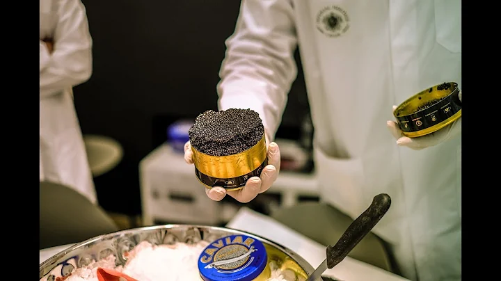 How CAVIAR is made! Exclusive visit of the OLDEST SUSTAINABLE STURGEON FARM in the world. - DayDayNews