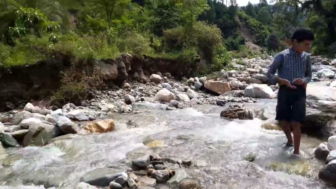 Young child discovers the beauty of nature by exploring the 