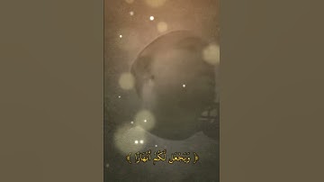 تلاوة خاشعة المقرئ الشيخ توفيق الطائع 🌿 #القرآن_الكريم #اكسبلور #المصحف #لايك #القزابري #quran #لايك