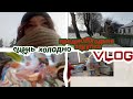 VLOG Закупки к Новому Году | Купила подарочки