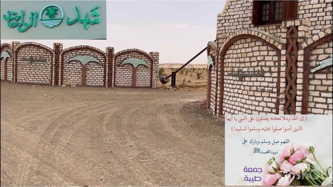 فدان شهد للمحاصيل السريعه !!؟؟أسعار الفدان في شهد كان بكام وأصبح بكام دة الاصول غير الفسائل والإنتاج