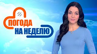 Осадки продолжатся! | Прогноз погоды с 21 по 27 апреля | Погода в Беларуси | Плюс-минус